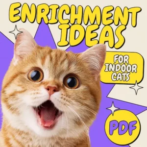 Enrichment Ideas for Indoor Cats | Printable Cat Enrichment Guide | DIY Toys, Play Routines, and Cat-Friendly Home Tips